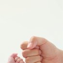 베이비파스텔 - 2455 | 베이비파스텔