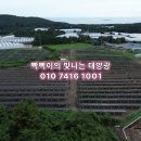 재원태양광발전소 이미지