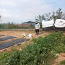 차씨네농장 이미지