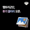햄토리 군단 | [햄토리군단]나의 햄스터를 자랑해주세요!(후기 갤러리 오픈★)