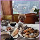 털보애견 이미지