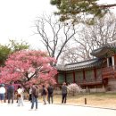 선홍이네
