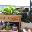 당수초교 이미지