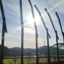 따오기품은 세진마을 이미지