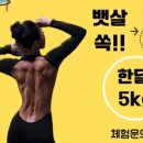 조쌤점핑허브다이어트