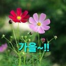 종로회집