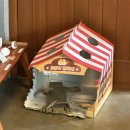 여행 | 제주 1인 동쪽 여행 후기