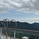 은곡다원 이미지