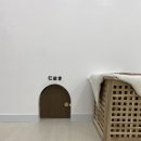 댕로하 이미지