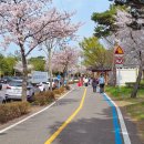 나주종합스포츠파크 건너편 이미지