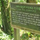 사려니숲길 쉐어하우스 이미지
