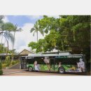 열대상점