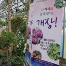 사계절꽃집 - 군산시 대야시장로 3 | 사계절꽃집