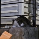 가정식집밥 이미지