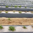 하민농장 이미지