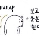 생태동태