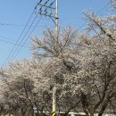 반쟁이공원 이미지