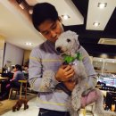 테리몽하우스 이미지