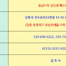 황금나무공인중개사사무소 이미지