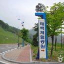 태백숯불갈비 이미지