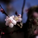 경주시립 노인전문 요양병원 Daum카페
