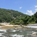 금수강산 식육식당 | 함양 계곡 농월정 거연정 화림동계곡 황석산캠핑장 용추계곡 백숙식당