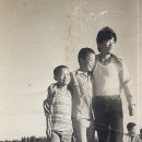 청산추억 이미지