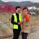 이정자농원 이미지