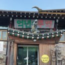 산마을다람쥐 이미지