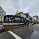 윌횟집 | 강릉 홍게 무한리필 윌횟집 후기 (살이가득차고 녹진한 게맛!)