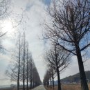 본량동 행정복지센터 이미지