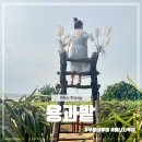 여의주농장 이미지