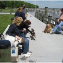 CHUBBY DOG 이미지