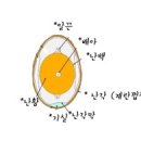 듀숑 이미지
