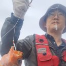 오산항낚시터 이미지