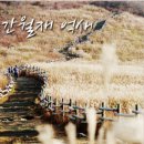 10/31~11/1(토일)만추에 떠나는 영남알프스 간월재 억새평원,가산 수피아 핑크뮬리,금오산저수지둘레길여행 이미지
