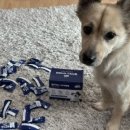 맥스농장 이미지