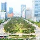 미관광장(경관광장) 이미지