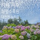 금정구 카페 지수/북구 부산 화명수목원/대천천 누리길 수국 소식까지 하루에 담은 스토리