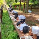 충청북도산림환경연구소 이미지