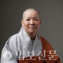 (사)영화로세상을아름답게 Daum카페