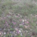 금산펜션 이미지