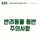 렙타일케이지 이미지