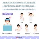 b형 독감 증상 격리 기간 전염 타미플루 수액치료 이미지