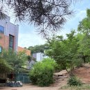 석성숲유치원 이미지