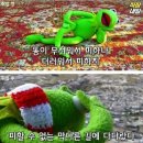 커밋 이미지