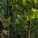 용허리근린공원 이미지