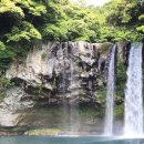 천지연폭포 이미지