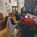주식회사 천우 | 코닥 Kodak / 필름카메라 펀세이버&amp;데이라이트 망우삼림에서 스캔 후기