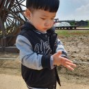 세수파파 이미지